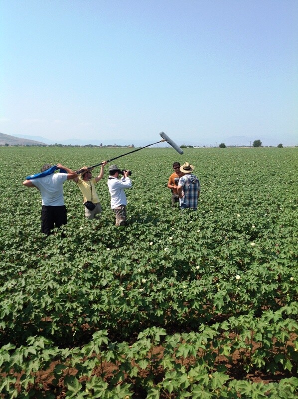 The CAP video blog with young farmers of Greece